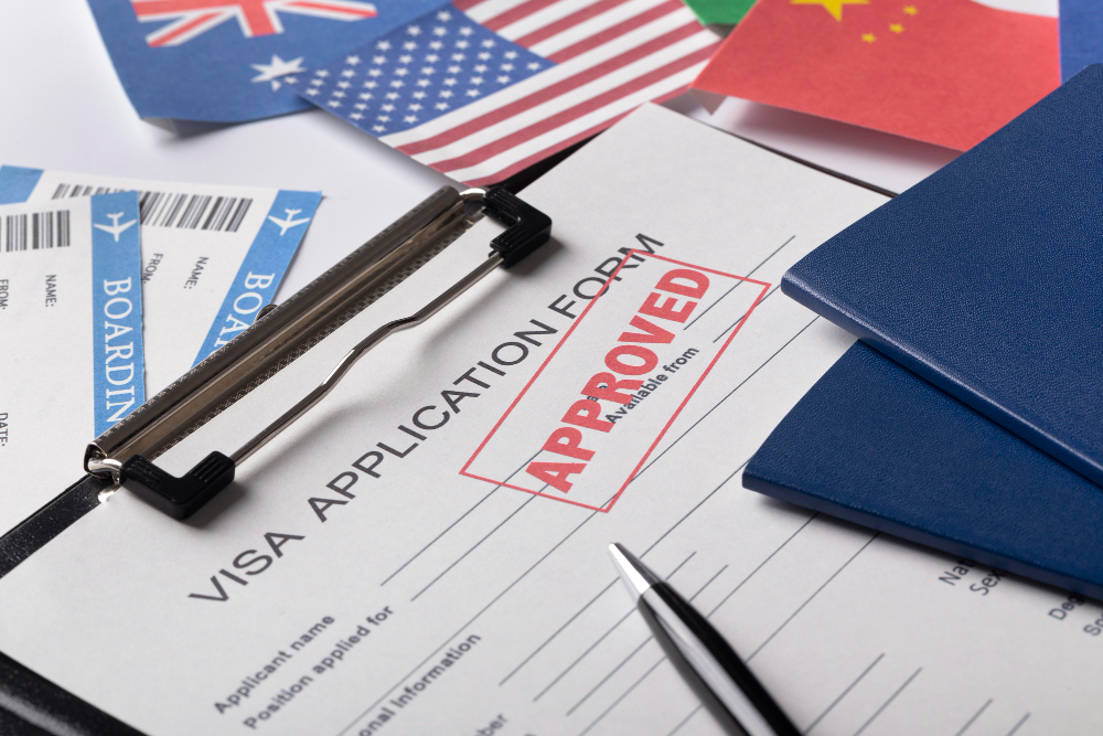 Visa Processing